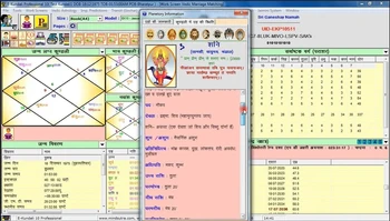 E-kundali Professional 10 logo